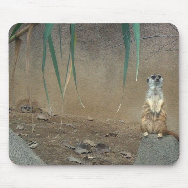 Mousepad Meerkats (Frente)
