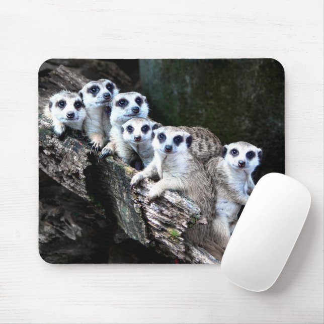 Mousepad Meerkats (Com mouse)