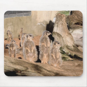 Mousepad Meerkats