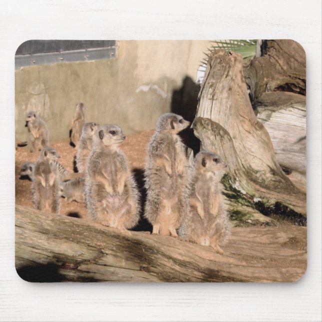 Mousepad Meerkats (Frente)