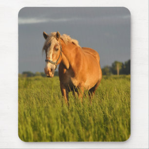 Mousepad Megohm no pasto