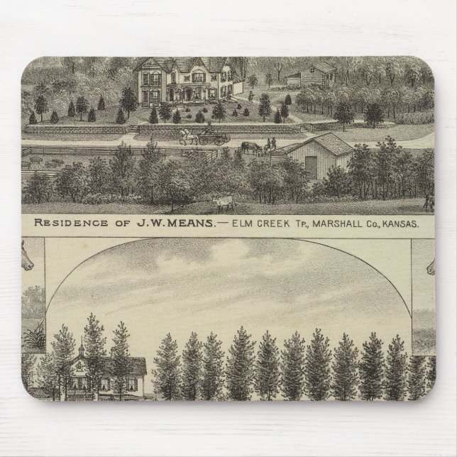 Mousepad Meios, Trout e Sabins no Kansas (Frente)