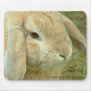 Mousepad Mel, coelho Lop-orelhudo