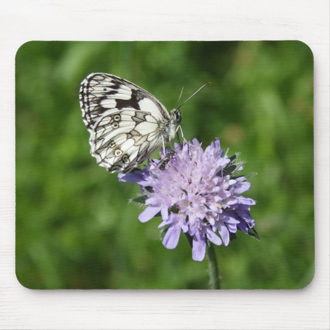 Mousepad Melanargia galathea (Frente)
