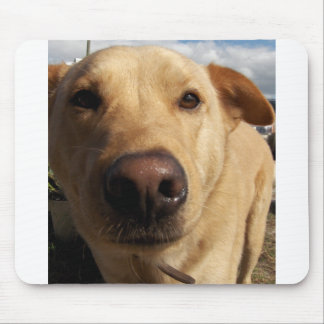 Mousepad Melhor amigo
