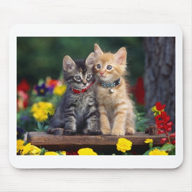 Mousepad Melhores amigos (Frente)