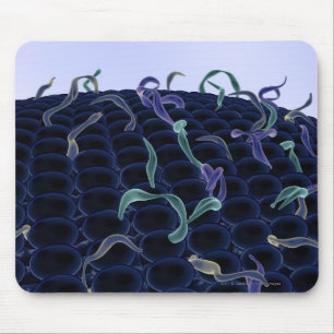 Mousepad Membrana de pilha ampliada