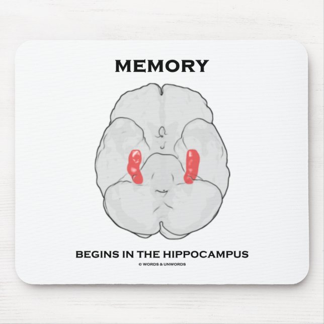 Mousepad Memória Começa No Hippocampus (Psicologia) (Frente)