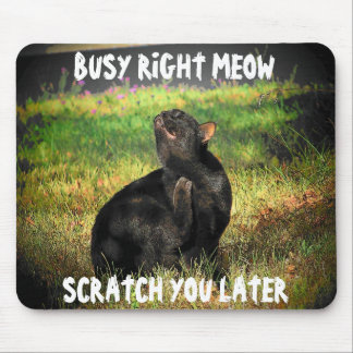 Mousepad Memória de Gato de Moa Direita Ocupada
