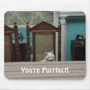 Mousepad Mensagem de gato: "Você é Puro!"