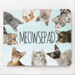 Mousepad Meowsepad | Pão De Gato Engraçado<br><div class="desc">Todos nos sentaremos no seu maldito pad e esperaremos que o mouse volte. Mousepad cômico com ilustrações de siameses,  bombardeios,  dobra escocesa e gatos azuis russos sobre um fundo azul claro.</div>