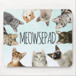 Mousepad Meowsepad | Pão De Gato Engraçado<br><div class="desc">Todos nos sentaremos no seu maldito pad e esperaremos que o mouse volte. Mousepad cômico com ilustrações de siameses, bombardeios, dobra escocesa e gatos azuis russos sobre um fundo azul claro.</div>