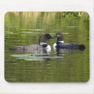 Mousepad Mergulhões-do-norte