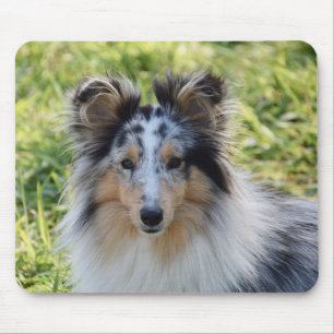 Mousepad Merle Shetland Sheepdog - Sheltie Dog