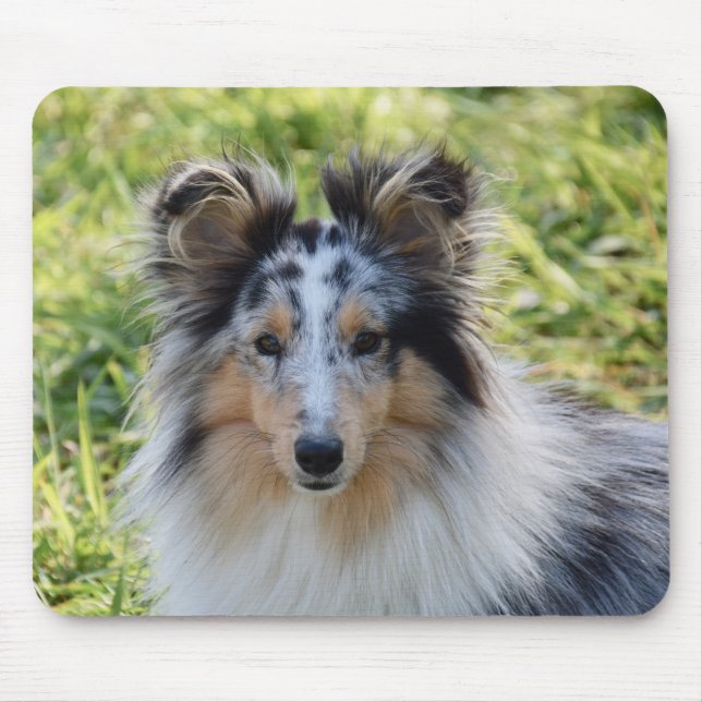 Mousepad Merle Shetland Sheepdog - Sheltie Dog (Frente)