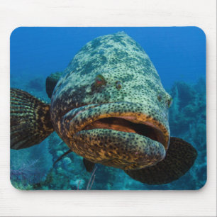 Mousepad Mero Goliath do Atlântico