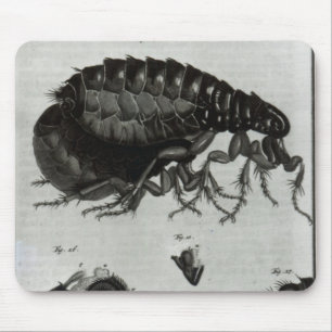 Mousepad Mesa IV das moscas e das pulga