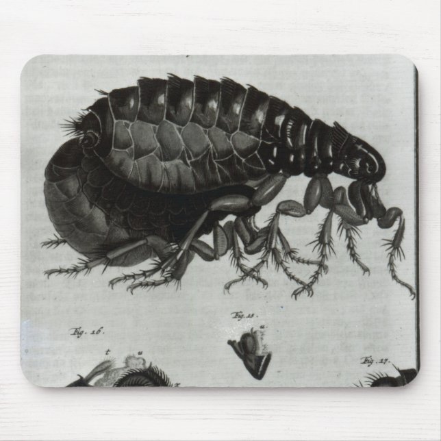 Mousepad Mesa IV das moscas e das pulga (Frente)