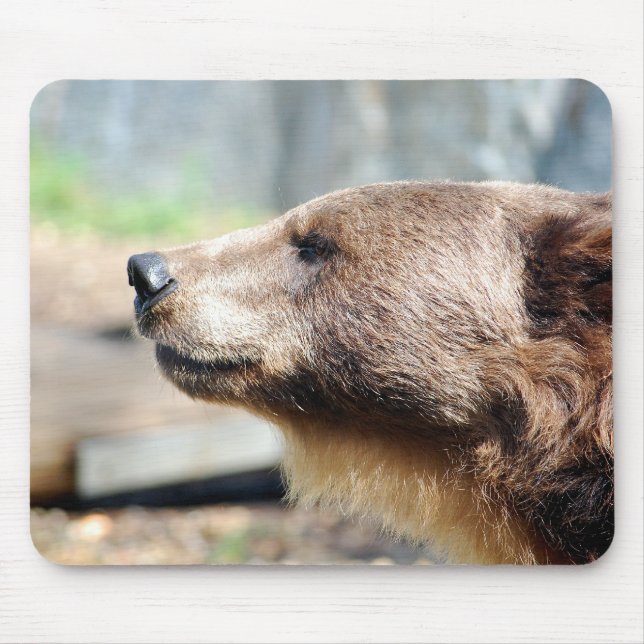 Mousepad Mestre Bruin (Frente)