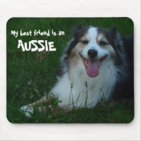 Meu melhor amigo é um Aussie!