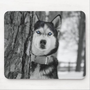 Mousepad Meus Olhos Azuis