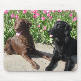 Mousepad Mick & Patsy nas tulipas 011