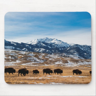 Mousepad Migração do bisonte