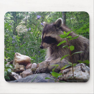 Mousepad Mika o guaxinim