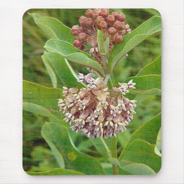Mousepad Milkweed é Bonito (Frente)
