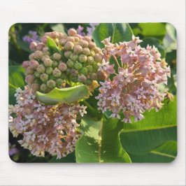 Mousepad Milkweed Pom Colorida