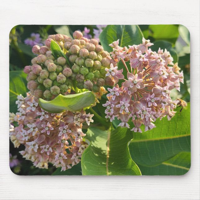 Mousepad Milkweed Pom Colorida (Frente)