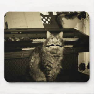 Mousepad Mim bigode para jogá-lo para fora