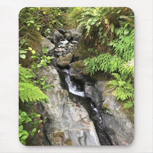 Mousepad Miner Creek, Samuel H. Boardman, OU (Frente)