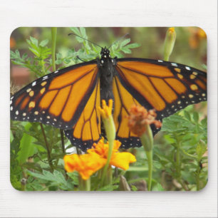 Mousepad Minha Borboleta-mousepad do monarca