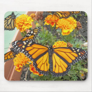Mousepad Minhas Borboletas-mousepad do monarca