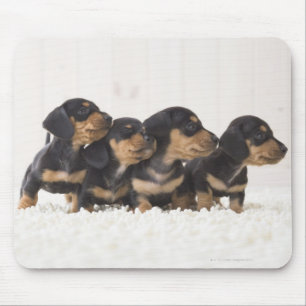 Mousepad Mini Dachshund quatro