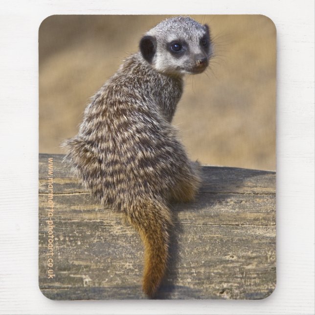 Mousepad Mini Kat Tapete de Rato (Frente)