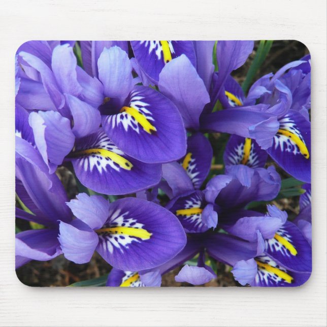 Mousepad Miniatura Azul Levanta Primavera Floral (Frente)
