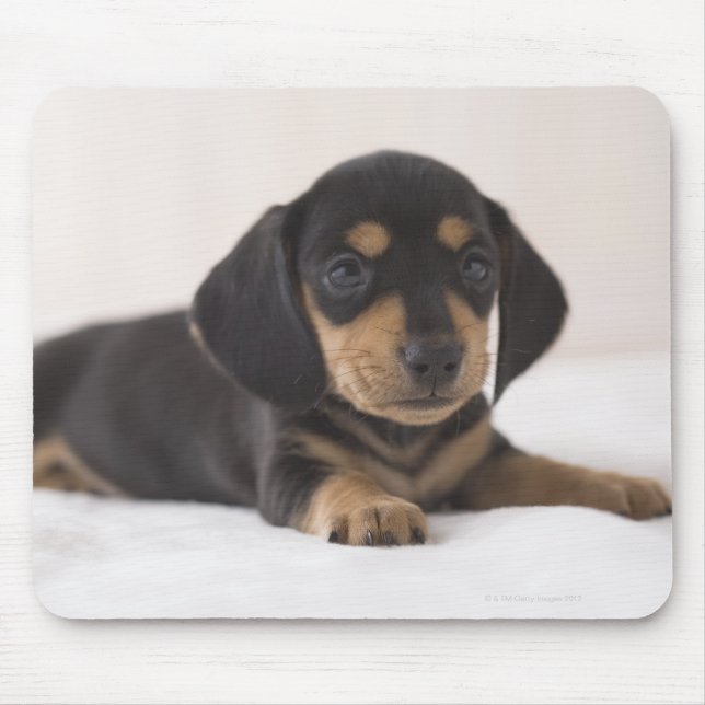 Mousepad Miniatura Dachshund (Frente)