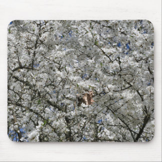 Mousepad Mirabelle Blossom Mouse