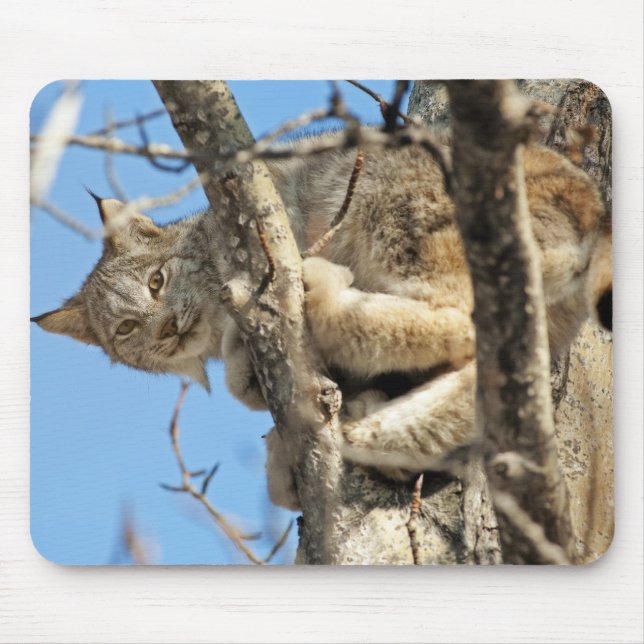 Mousepad Mischievous Lynx (Frente)