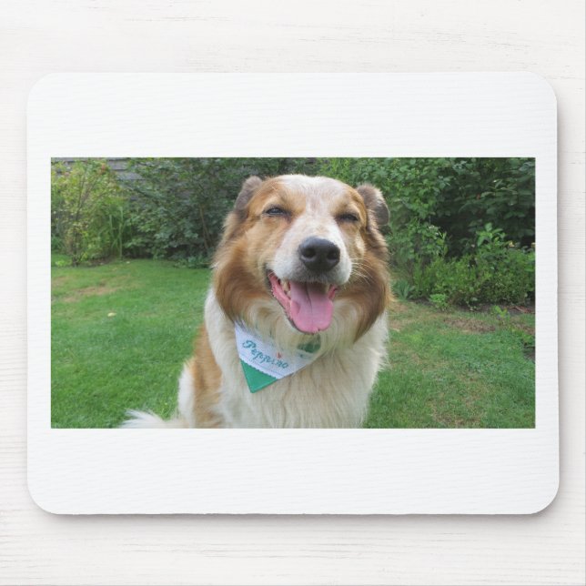 Mousepad mistura de collie de borda (Frente)