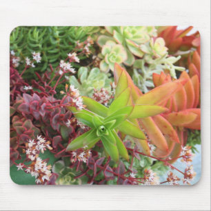 Mousepad misturado dos succulents