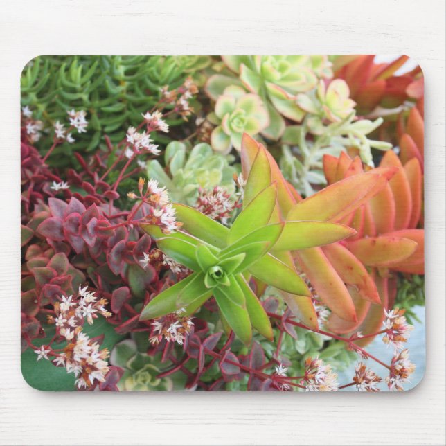 Mousepad misturado dos succulents (Frente)