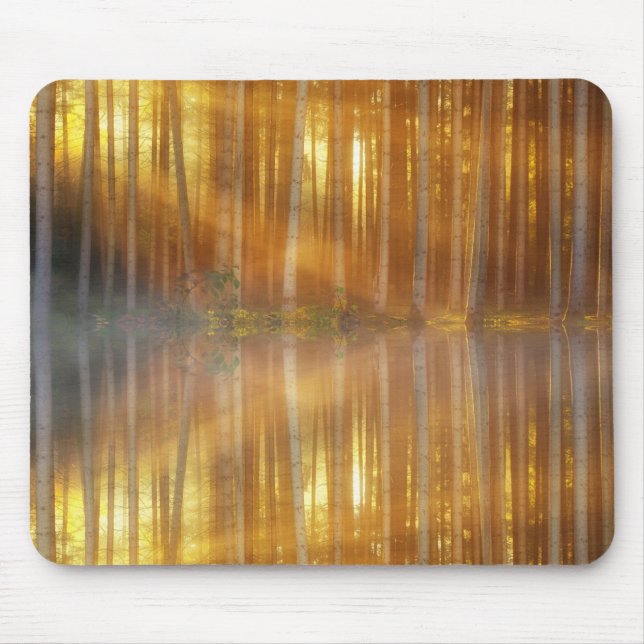 Mousepad Misty Forest Scene (Frente)