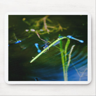 Mousepad MK2A8136_v01