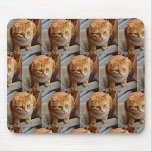 Mousepad Modelo de Colagem de Fotos Personalizadas Família 