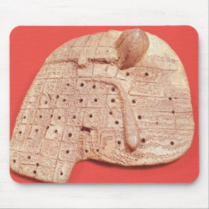 Mousepad Modelo do fígado de um carneiro