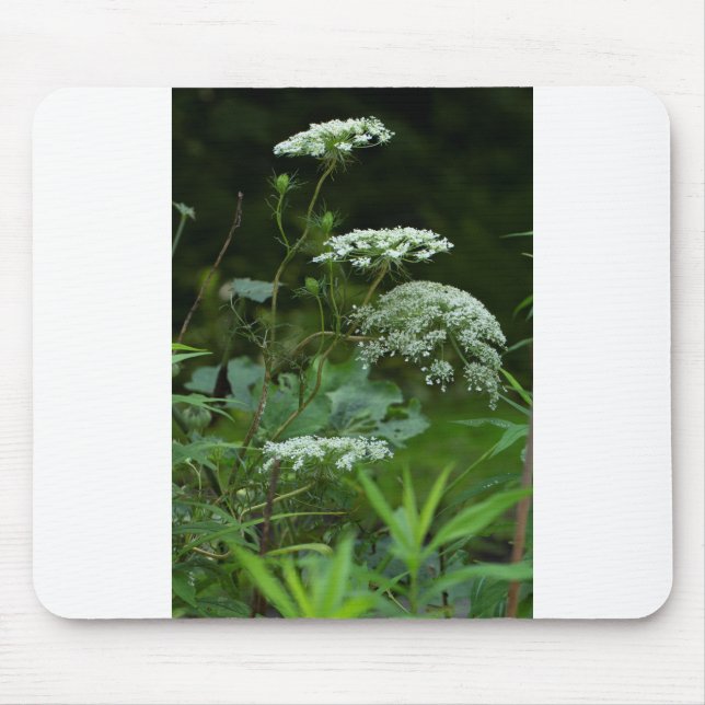 Mousepad modelo do mouse (Frente)