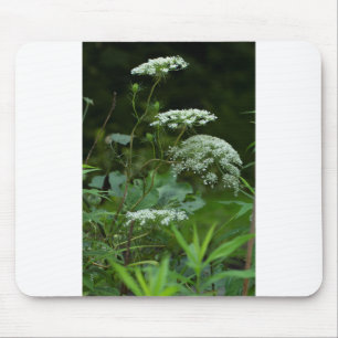 Mousepad modelo do teclado